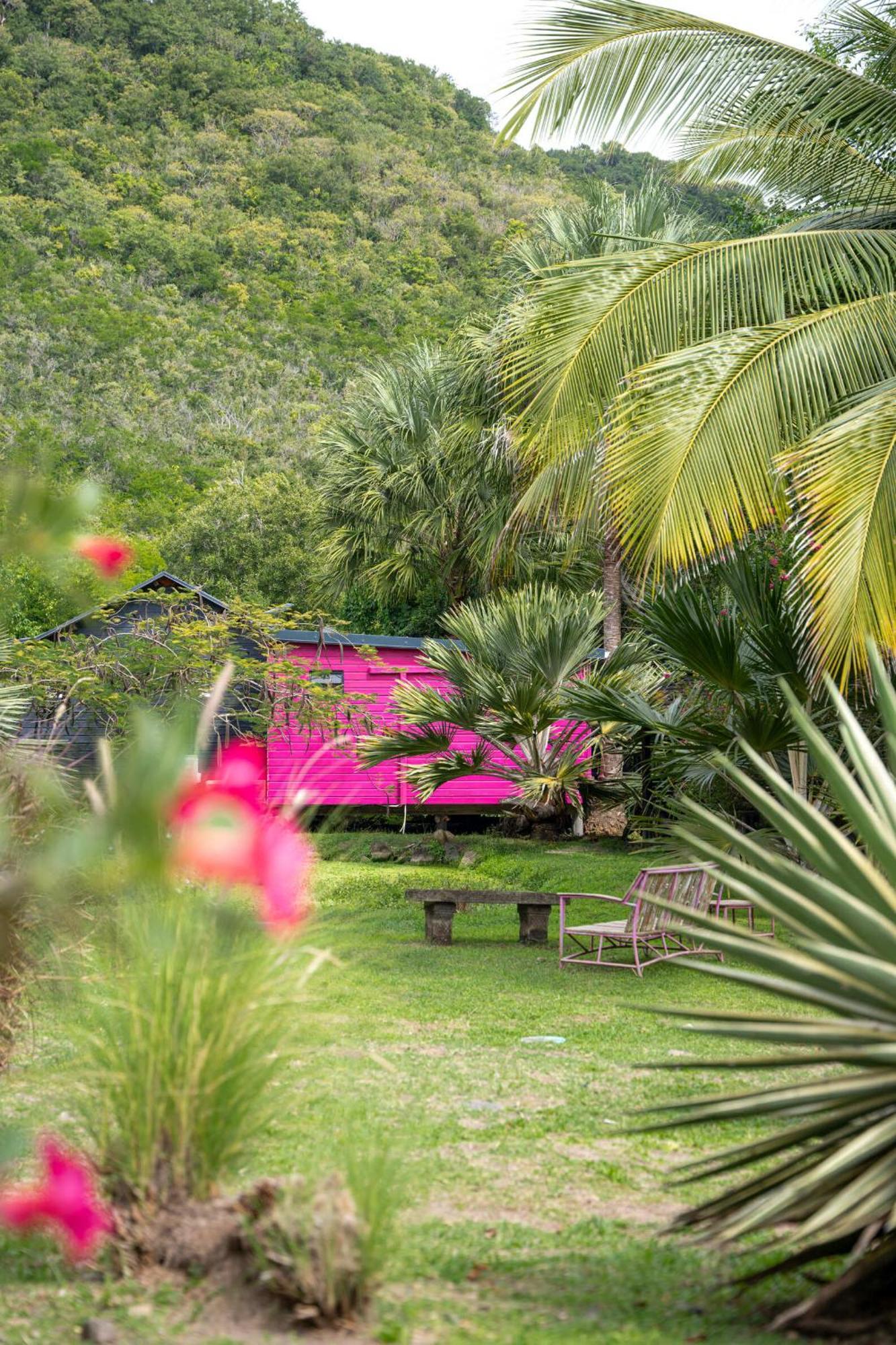 Domaine De La Palmeraie لو ديامانت المظهر الخارجي الصورة